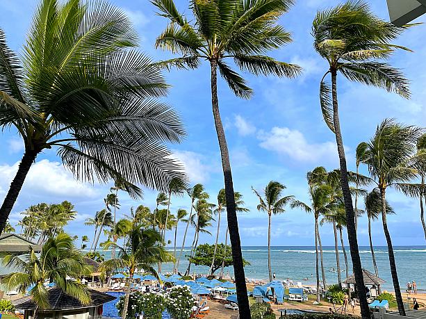 ザ・カハラ・ホテル＆リゾートの中庭散歩を楽しんだ前回の「ほっとハワイ」。今度はビーチウォーク！ 碧い色に誘われて‥‥
