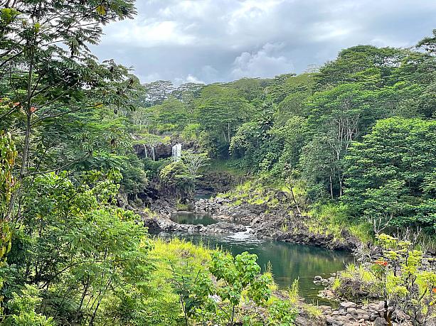 滝が多いことで知られるビッグ・アイランド。ヒロから島北東にあるホノカア近辺までに13もの滝が。うち8つはヒロ近郊にあります。こちらはペエペエ滝（Peʻepeʻe Falls）。