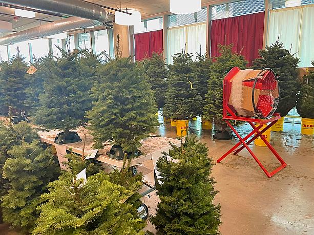 2階で目にした風景。クリスマスツリーと右端に和太鼓？ に一瞬見えましたが、ツリーのネット梱包機、ですよね。この時期ホームセンターや規模大きめのスーパーマーケット、またパーキング等に一時設置されたテント下で販売されるのが、生のモミの木。