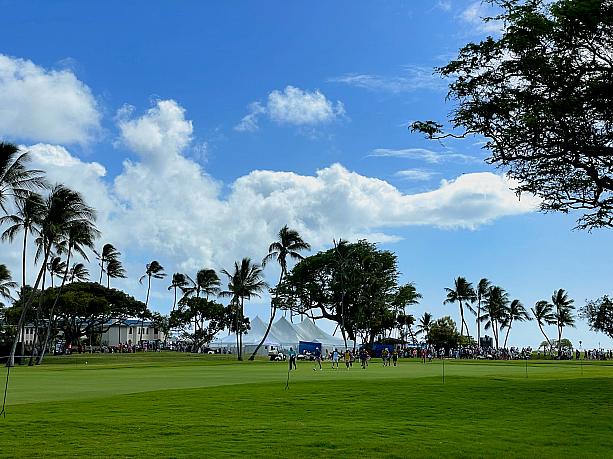 ウィンターシーズンのハワイには大きなスポーツイベントが2つ。走ることに興味がなくても話題に上るホノルルマラソンが12月。そして1月はゴルフのことを知らなくても‥‥ソニーオープン・イン・ハワイ。なんとも清々しい青い空と緑の芝！