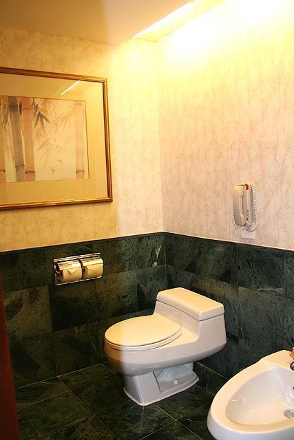 バスルームも広い、個室になっているトイレにはビデもありました。