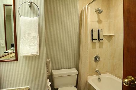 バスルームの様子。シャワーはエコノミー・シングルと同様に壁固定式です。
