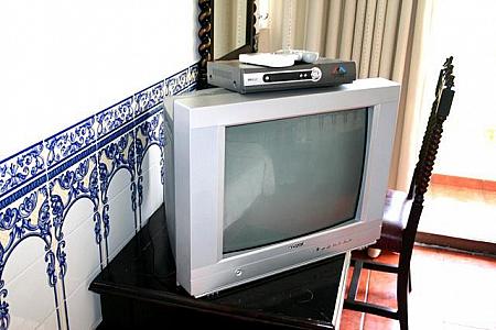 テレビは液晶とブラウン管とあり部屋により異なります。
