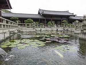 水が豊富にある公園とお寺です