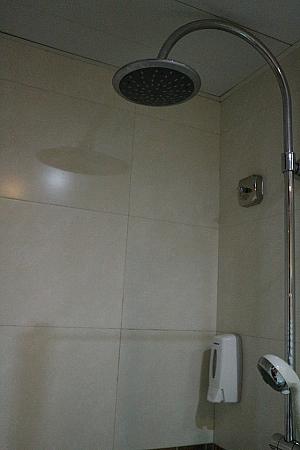 シャワーは上から降るものと、ハンドシャワーの２つ。