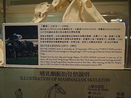 禄怡(英語名：Silver Lining)は香港馬王の栄誉を3回も獲得した名馬です。32レースに出場し、15回も優勝したとか。