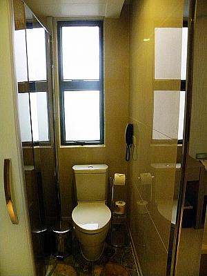 こちらのトイレの窓も小さめです