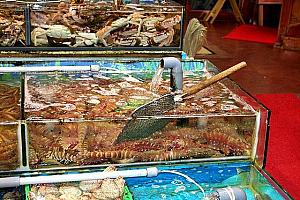西貢（サイコン）で海鮮を食べつくそう！
