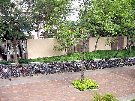 たくさんの自転車が駐輪してあるこんな風景は新界（ニューテリトリー）ならでは。