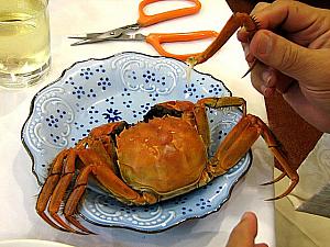 FOODYの食べ歩きシリーズ 第１弾、上海蟹