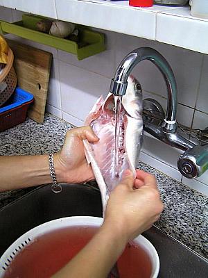 1. 魚は内臓とうろこを取り除き、きれいに血合いなどを流水で洗う。