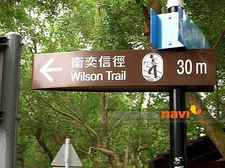 登りに登ってやっと到着、『Wilson　Trail』看板が見えます。ここからいよいよハイキングコースに入ります。