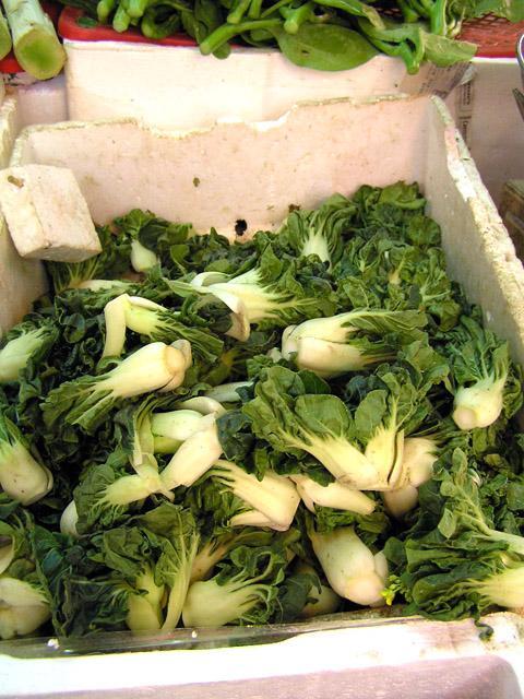 櫻井景子先生の香港レシピ教室 夏野菜の巻 香港ナビ