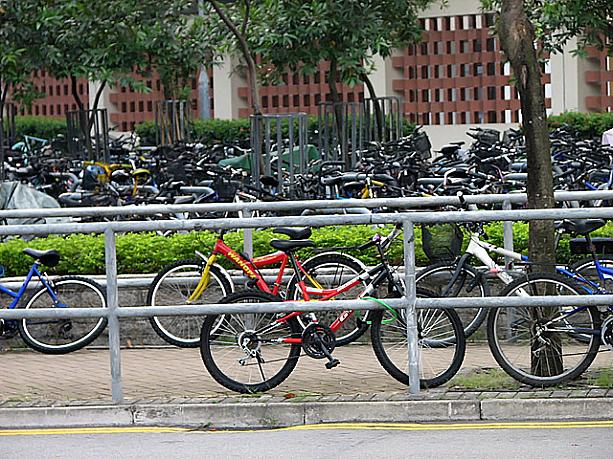 でも、ひとたび街中を離れれば自転車は生活必需品。自転車置き場もぎっちりです。