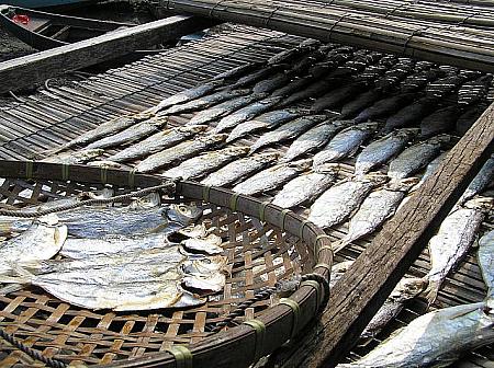 <center>大澳では他にも咸魚（塩漬け魚）や蝦醤（えびペースト）など手作りされています。</center>