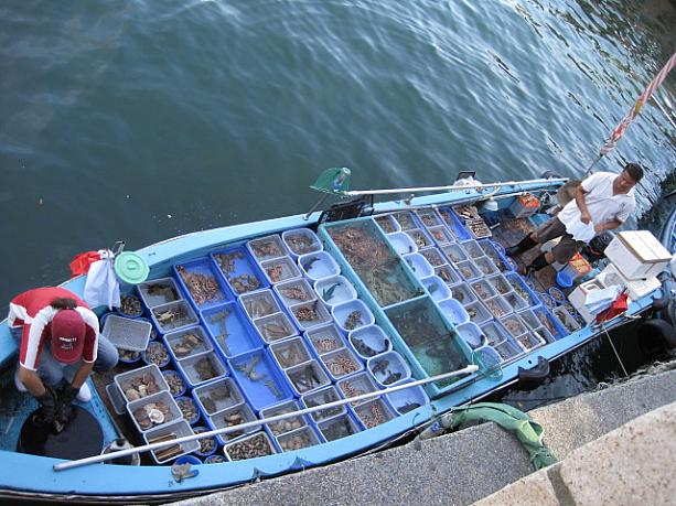 新鮮な魚介類を売る船が並んでいます。