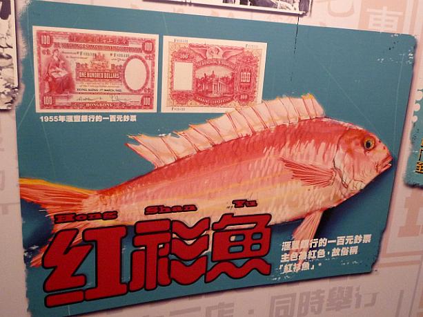 香港上海銀行が発行した100ドル札は色が真っ赤なことから「紅衫魚（イトヨリダイ）」と呼ばれています。