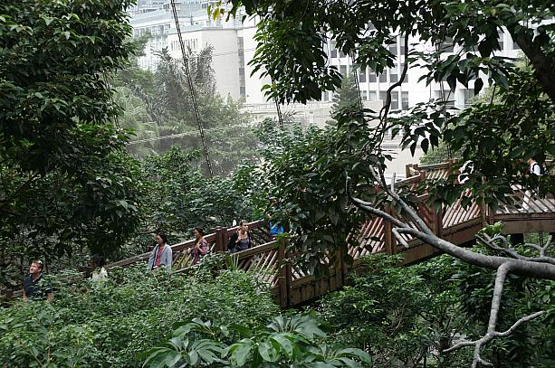 無料の野鳥園なので、公園の奥にあるにも関わらず、観光客やカメラファンに人気があります。