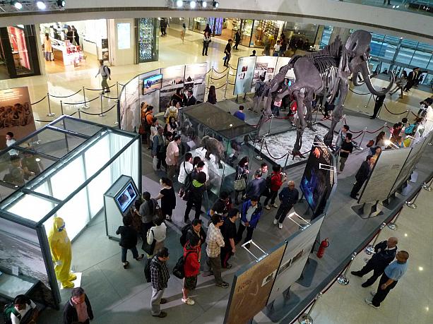 5月10日まで、IFCモール内の特設会場で展示されています。