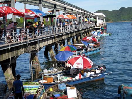 夏はやっぱり海