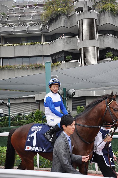 ロードカナロア2連覇 | 香港ナビ ロードカナロア2連覇 | 香港ナビ