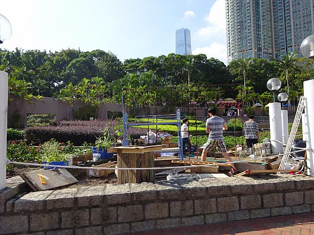 公園の草花も12月に向けて植え替え中。どんな風になるのか楽しみ。