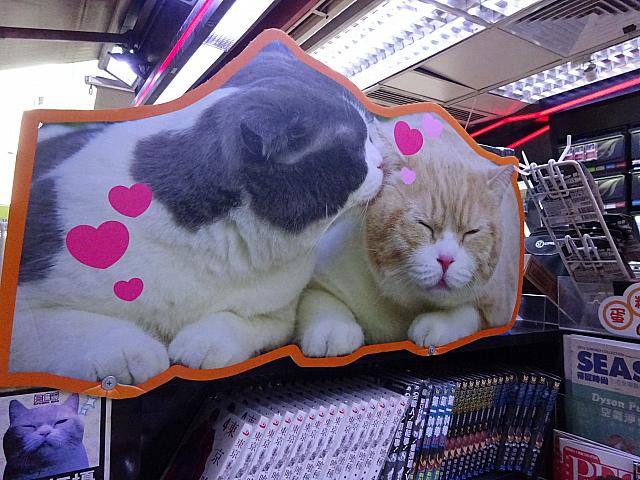 日本デビューも果たした香港の あの 人気モノに会いに行ってきました 香港ナビ