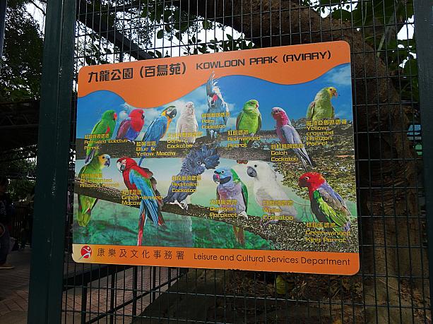 せっかく九龍公園に来たので、何年ぶりかで百鳥苑をのぞいてみました。