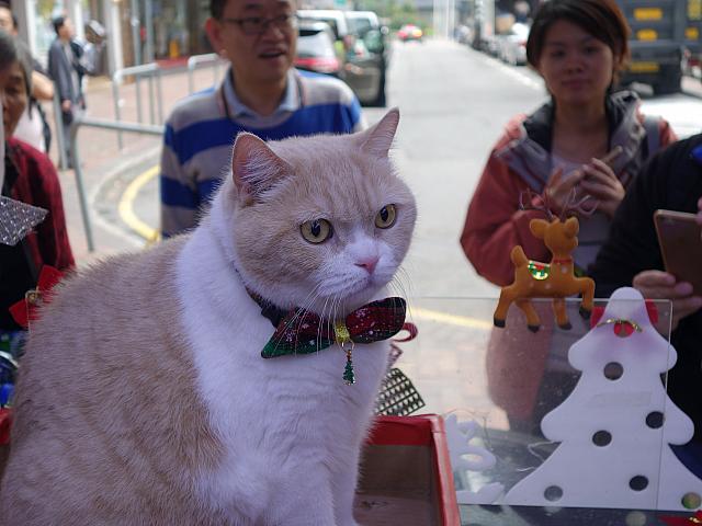 クリーム兄貴で有名な 信和便利店 が5月末に閉店 香港ナビ