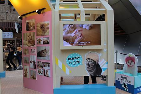 日本で大人気の『ねこ休み展』が国外初で香港にやってきました！ 猫 ねこ休み展 イベントランガム・プレイス