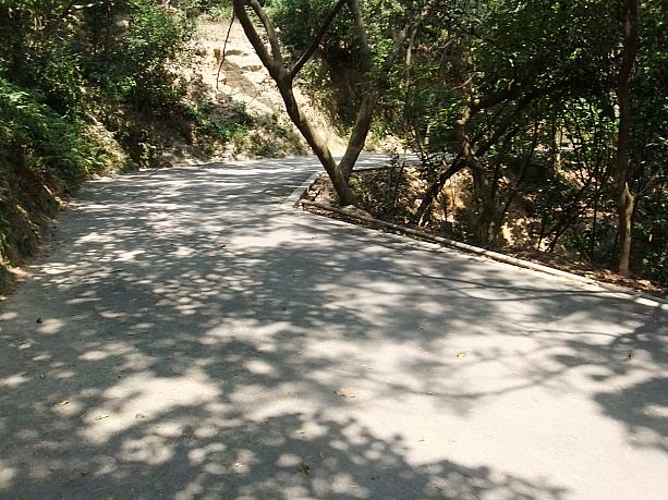 再びハイキングらしい道を歩きます