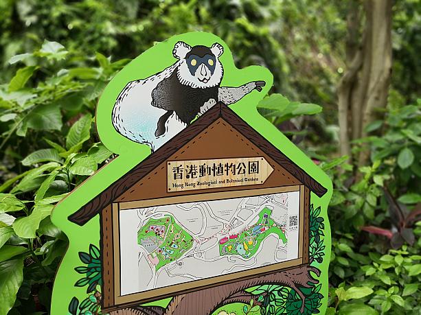 続いて、徒歩10分ほどの香港動植物公園にも足を延ばしてみたいと思います♪
