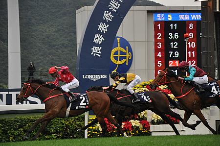 2018年 香港インターナショナルレース 競馬 競馬国際レース インターナショナル 香港日本馬