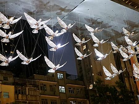 平和への願いがこめられた美しい鳩たち