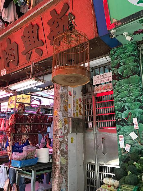 とある日、ノスタルジックな雰囲気いっぱいの下町・九龍城へ行ってきました。店先に下がっている鳥かご良い味出していますね～