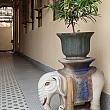 この象の置物といい、タイルといい、色といい・・・・、何回来ても、何度でも写真を撮りたくなるスポットです。ここがお寺なんて想像できますか？どこか東南アジアのリゾートみたいですね。