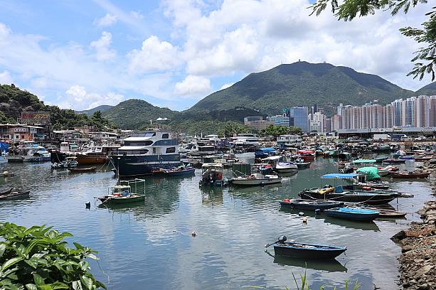 久し振りに鯉魚門へ行ってきました。最近はこういった漁村を訪れることが多いのですが、こんなのどかな漁村のすぐ近くには高層ビルが見える、という景色がとっても香港らしいと感じます。