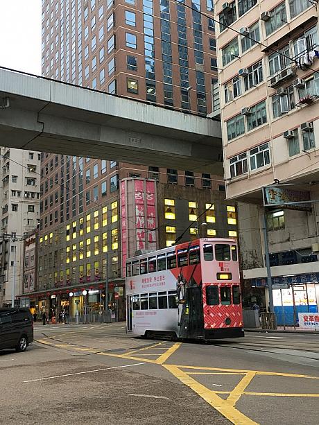 そんなトラム、乗るのも良いですが見るのも楽しいですよね。ボディに色とりどりの広告を載せて走るトラムは、活気ある香港の街にピタリと当てはまります。