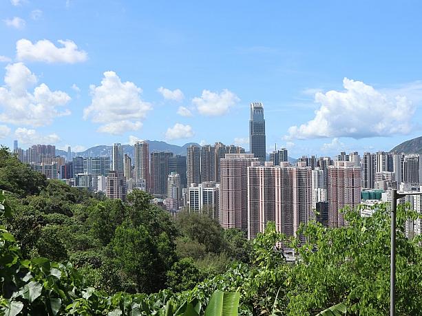 高い山へ行く体力はナビにはありませんが、比較的街から近い気軽に行ける簡単なコースは好きです。山から香港の都市を見ると、頑張ってここまできて良かったなあって思うんです。