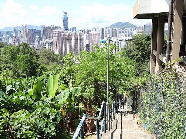 階段右は山の傾斜に建てられた大きなマンションです。こんな場所にもどんどん高層マンションをたてるなんて香港ならでは、です。こんなお家に住んだら景色は最高だけれど、通勤がちょっと大変かもな、、、、。