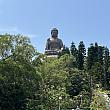 香港は変わらず元気ですよ！こちらは先日訪れたランタオの大仏です。改装もほぼ終了したようで、大仏周りの囲いも撤廃されました。