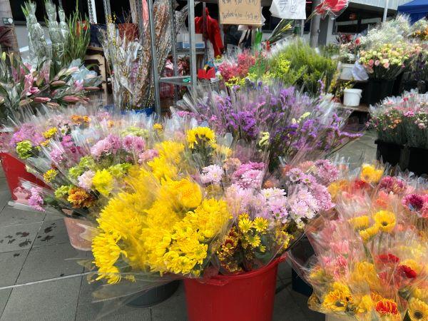 年宵花市で売られているのは切り花から鉢植えまで、大小値段も様々。