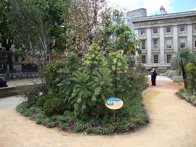 大英博物館に オーストラリアの風景 を再現 ロンドンナビ