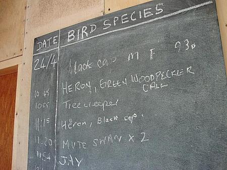 今日見た鳥の名前を書き入れる黒板