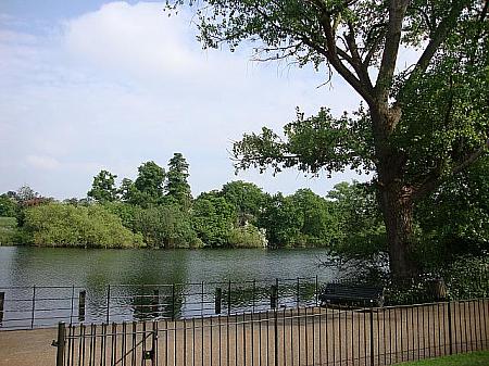 ロンドン五輪では、池で遠泳とは…