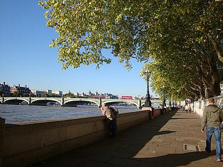 写真で見る紅葉と落葉のロンドン 紅葉写真