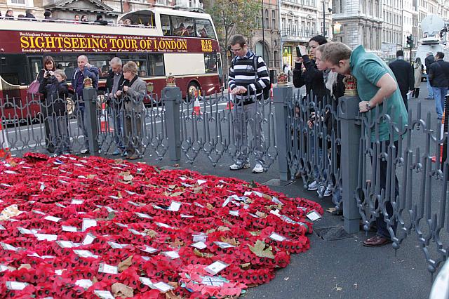 戦没者記念碑に 多くの人々が追悼に訪れています ロンドンナビ