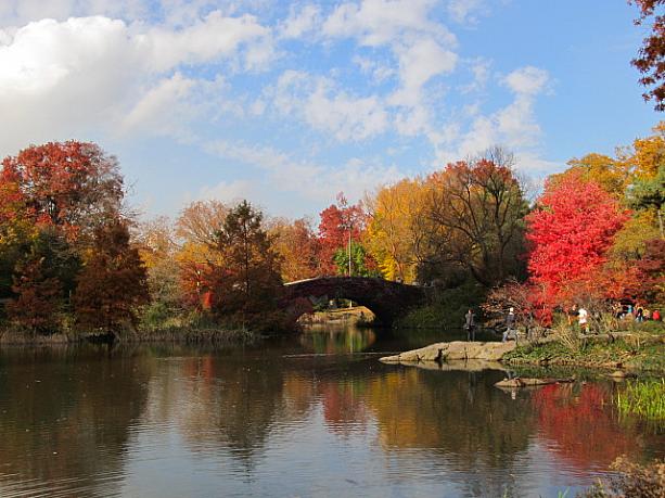 池にも紅葉が反射しています