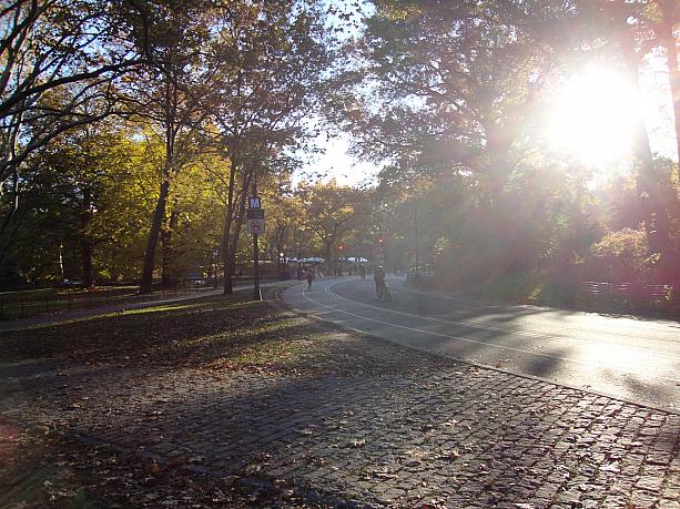 ニューヨークの晩秋の風景～紅葉など～ 紅葉 ニューヨーク公園ニューヨークの秋
