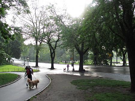 朝のニューヨークはこう歩く！ ブランチ 公園 散歩 ファーマーズマーケット ジョギング犬の散歩コース